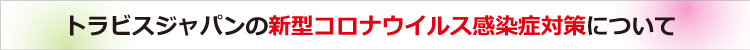 新型コロナウイルス感染症対策について